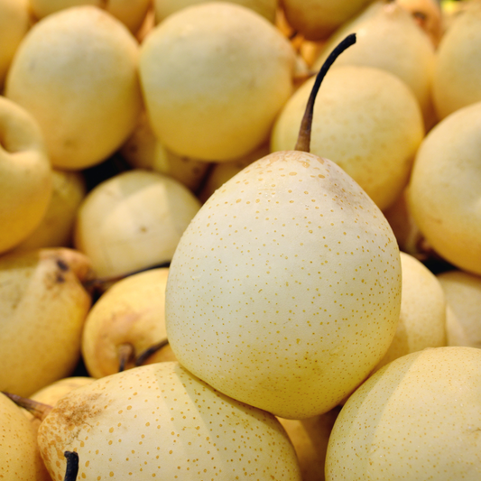 圓肉雪梨茶 ❄︎ 潤肺潤喉